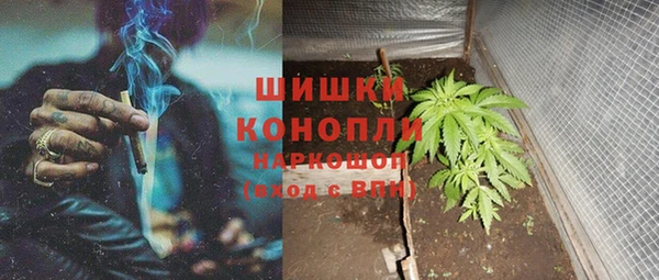 прущие крисы Абаза