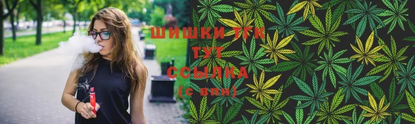прущие крисы Абаза