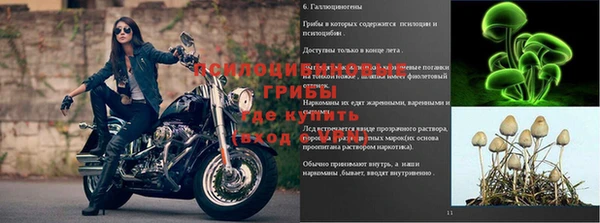 герыч Абинск